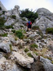 Après avoir franchi les dalles creusées, on monte vers le chêne vert