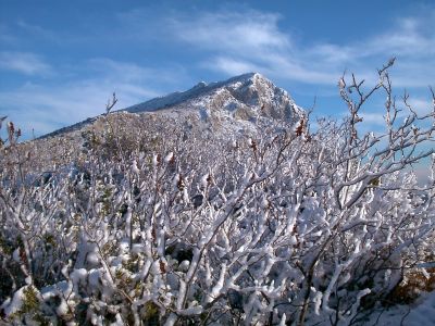 Sainte-Victoire, le 7 Janvier 2003, vue du sentier Imoucha