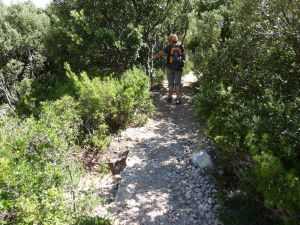 Dans le bosquet, ne tournez pas à gauche, mais aller droit vers l'Oppidum