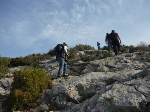 et par endroit, les dalles rocheuses envahissent tout le terrain