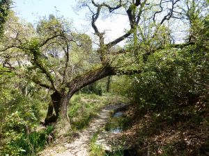 Au bord du petit canal toujours en activité