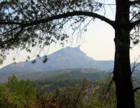 Et d'où les grands pins se marient naturellement avec la montagne