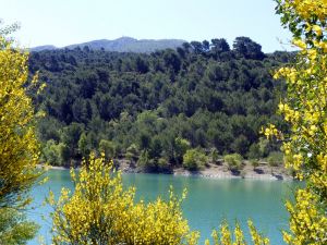 Au fond, la face Nord de Sainte-Victoire, la Croix de Provence