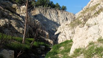 Juin 2018, les gorges sous le hameau de Bonfillons