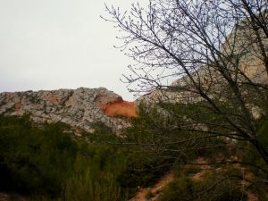 L'écaille rouge de plus près