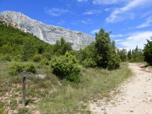 Regard arrière sur la sente que vous allez quitter