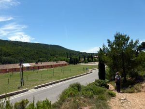 Regard arrière sur la sente qui permet d'éviter de suivre la route vers le parking des Deux Aiguilles