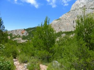 Regard arrière sur le sentier et plus loin, sur la curieuse écaille rouge