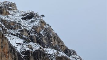 les falaises