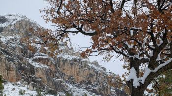 Près du refuge Cézanne