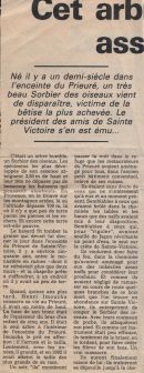 5 novembre 1992, Le Méridional, 'Cet arbre qu'ils ont assassiné'