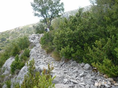 Chemin longeant la muraille cachée par la végétation