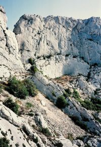 Le jardin des moines vu du sud