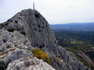 Les genêts de Lobel (Genista lobelii) forment des coussins jaune-vif.