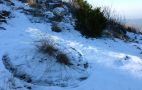 Sous le vent, les herbes tracent des cercles