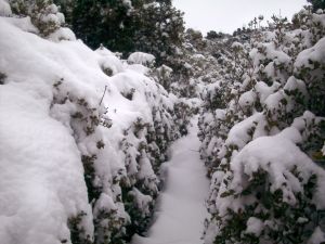 Le sentier marron au dessus de la carrière de marbre