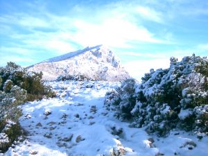 Du sentier Imoucha, le 7 Janvier 2003