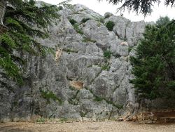 Vue partielle sur la falaise avec les traces des purges et un des panonceaux