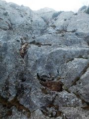 Sur la même falaise, de grosses écailles ont été retirées, laissant des traces marrons