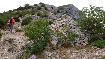 Le gros cairn, carrefour entre le sentier Imoucha et le tracé rouge (pointillés) est caché par des arbustes