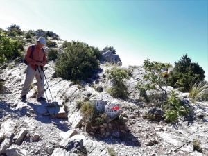 Pour ceux qui veulent descendre vers le refuge Cézanne, prendre à droite par le sentier balisé en points rouges