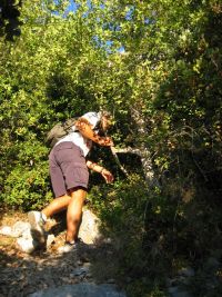 On arrive quand même à se frayer un chemin à travers ces arbustes