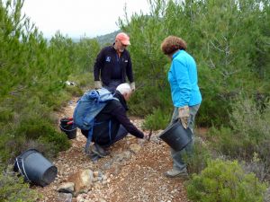 Chantier effectué en mars 2015