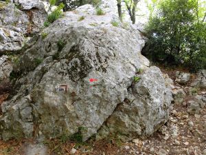 La balise marron et celle en rouge, pour descendre par le même chemin que celui de la montée