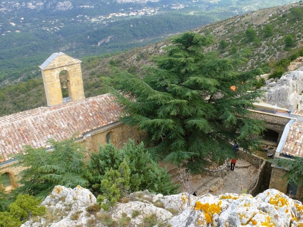 Toit de la chapelle en novembre 2024