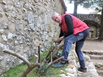 2025-02-13-plantations-47-copier