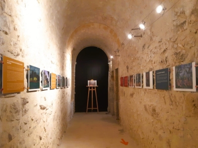 2025-06-26expo-cezanne-34-copier