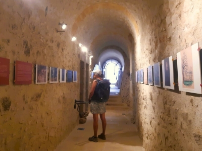 2025-06-26expo-cezanne-41-copier