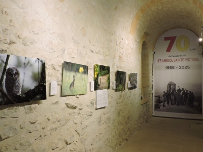 2026-09-03-expo-abentegeat138-copier