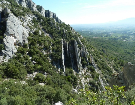 saint-ser_-lames-verticales-copier saint-ser_-lames-verticales-copier