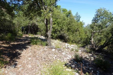 zoom_descente-du-pic-des-mouches-vers-le-puits-d-auzon_ia13