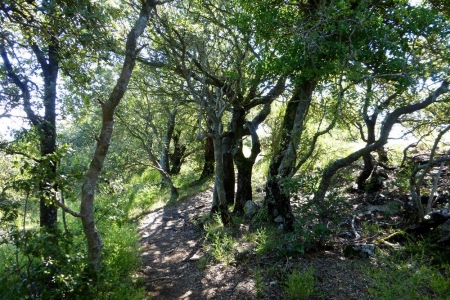 zoom_descente-du-pic-des-mouches-vers-le-puits-d-auzon_ia7