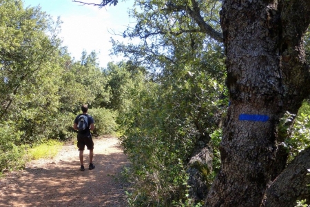 zoom_descente-du-pic-des-mouches-vers-le-puits-d-auzon_ib11