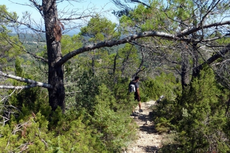 zoom_descente-du-pic-des-mouches-vers-le-puits-d-auzon_ib14