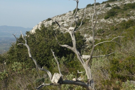 zoom_gr9-puyloubier-pic-des-mouches-1_ia8