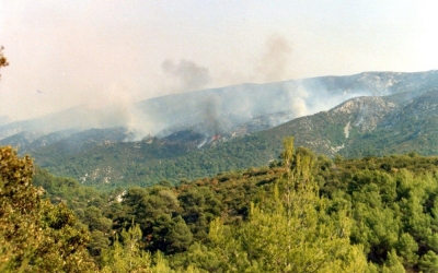 zoom_la-montagne-sainte-victoire-incendie-1989_im1