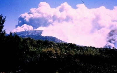 zoom_la-montagne-sainte-victoire-incendie-1989_im5