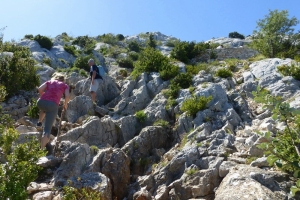 zoom_la-montagne-zoom-la-croix-de-provence_ic14