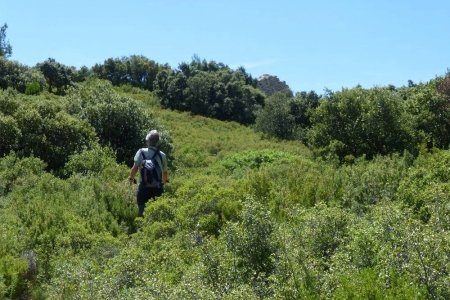 zoom_le-sentier-de-l-oppidum-en-montee-1_ia10