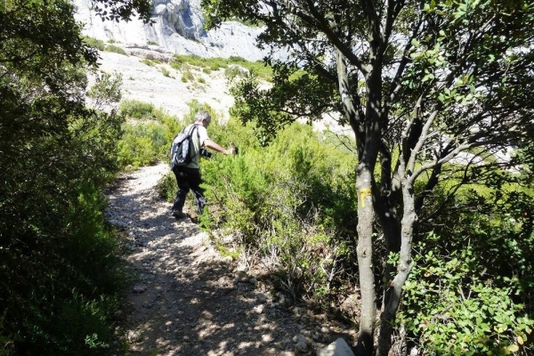 zoom_le-sentier-de-l-oppidum-en-montee-1_ia12