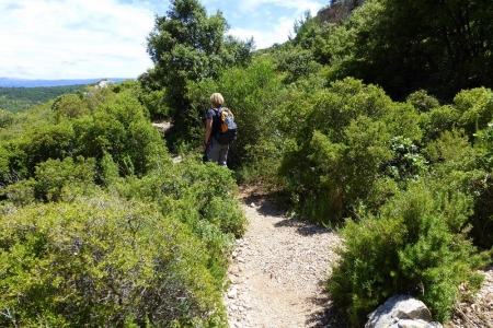 zoom_le-sentier-de-l-oppidum-en-montee-1_ia7