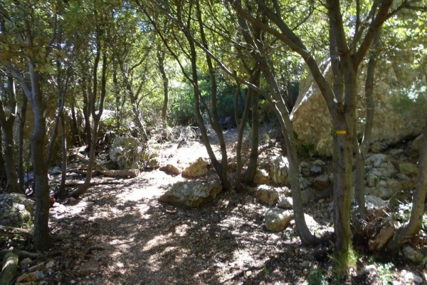 zoom_le-sentier-de-l-oppidum-en-montee-1_ia8
