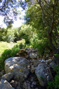 zoom_le-sentier-de-l-oppidum-en-montee-1_ib7