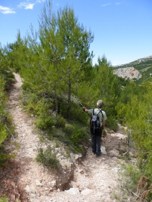 zoom_le-sentier-du-trou-en-descente-1_im6