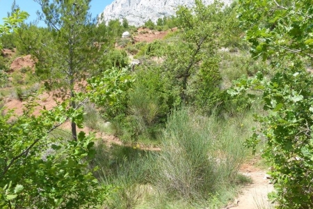zoom_le-sentier-du-trou-en-descente_ib13