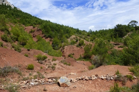 zoom_le-sentier-du-trou-en-montee-1_ib10